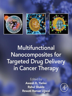cover image of Multifunctional Nanocomposites for Targeted Drug Delivery in Cancer Therapy